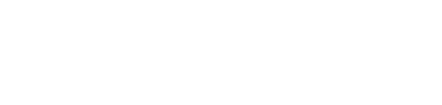 REBELSKIN Records